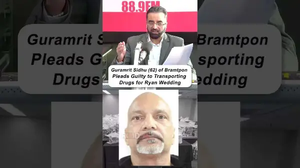Guramrit Sidhu, Brampton trucker gang leader pleads guilty to transporting drugs for Ryan Wedding
