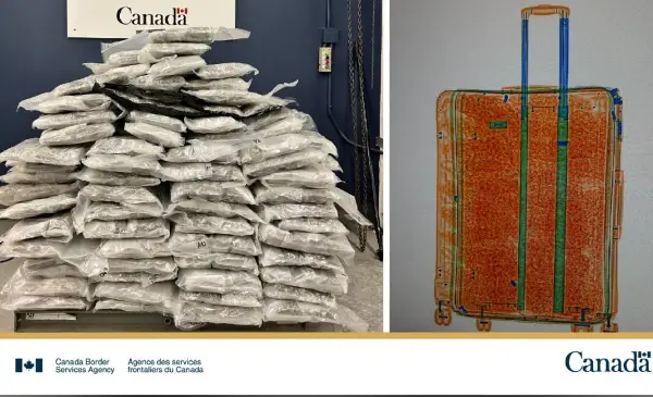 CBSA seizes over 1,000 kg of illegal cannabis at GTA outbound points