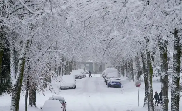 Weather warnings issued as multiple storm systems bring snow across Western Canada