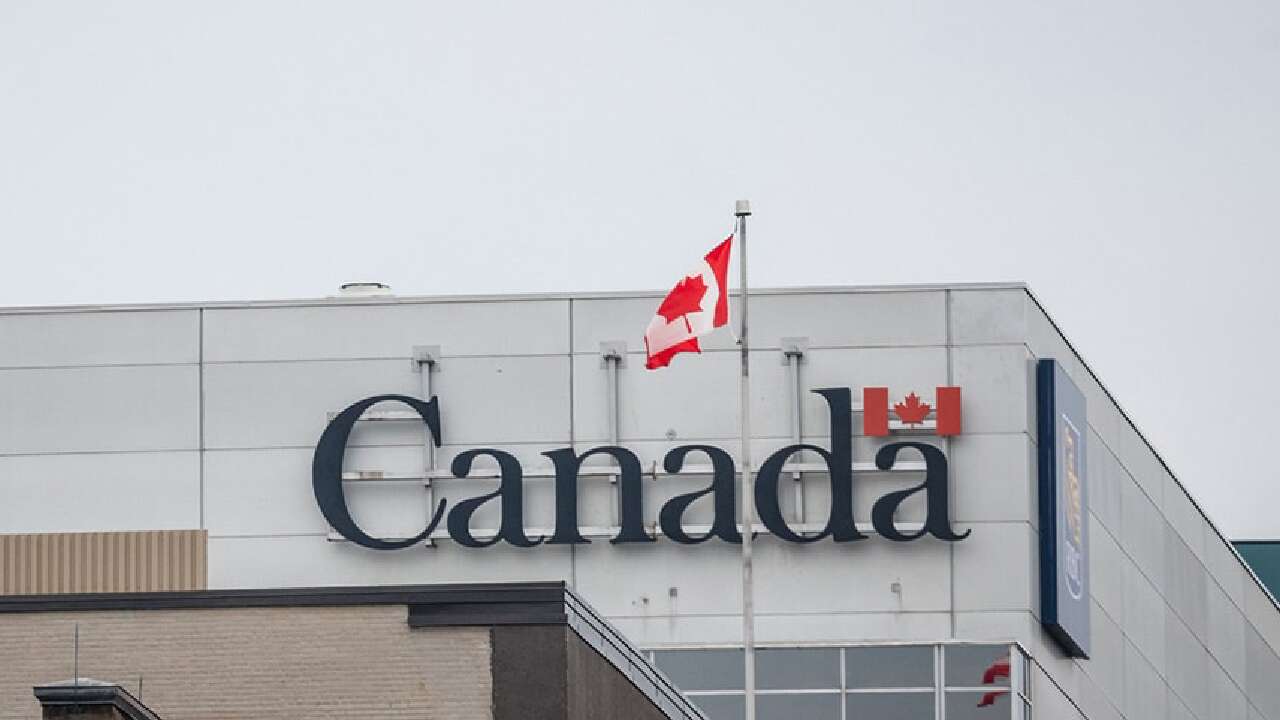 International student enrollment in Canada plummets to pandemic-era levels following federal caps