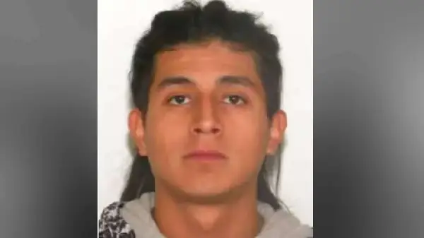 Calgary man pleads guilty to homicide in fatal stabbing