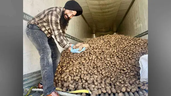 Free Potato Giveaway Set for Calgary This Saturday