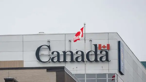 International student enrollment in Canada plummets to pandemic-era levels following federal caps