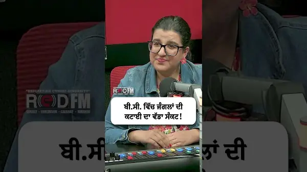 Major deforestation crisis in B.C. | ਬੀ.ਸੀ. ਵਿੱਚ ਜੰਗਲਾਂ ਦੀ ਕਟਾਈ ਦਾ ਵੱਡਾ ਸੰਕਟ