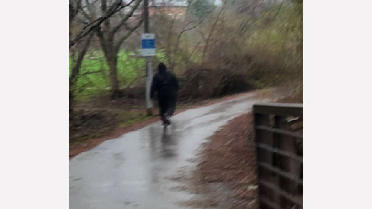 Police search for suspect after sexual assault on Brampton trail 