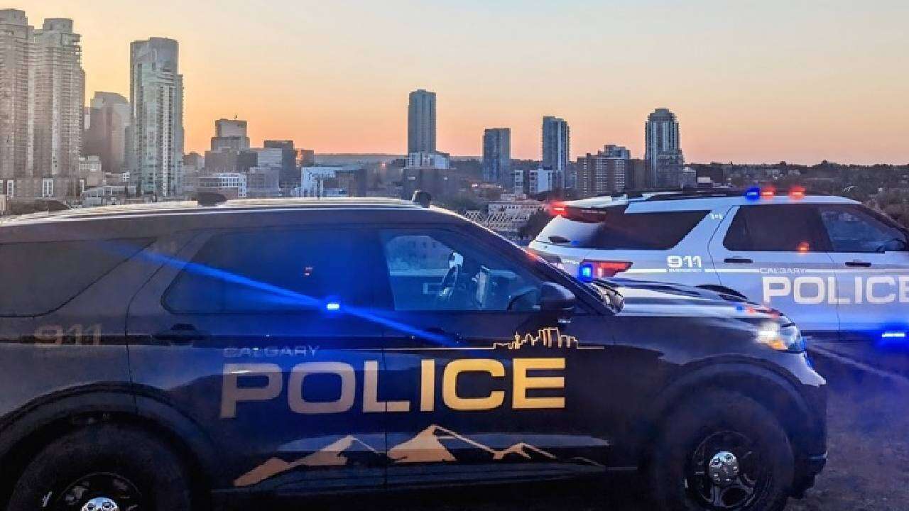 Calgary police issue 157 tickets in car meet crackdown