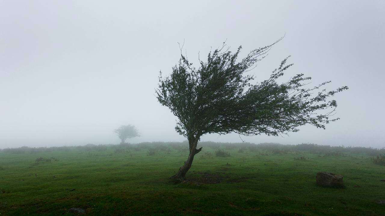 Strong winds expected across parts of Alberta