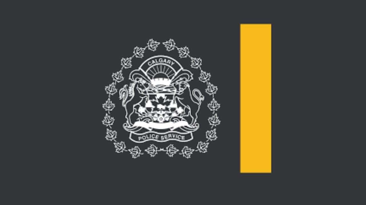 Teen seriously injured in assault at southeast Calgary car show