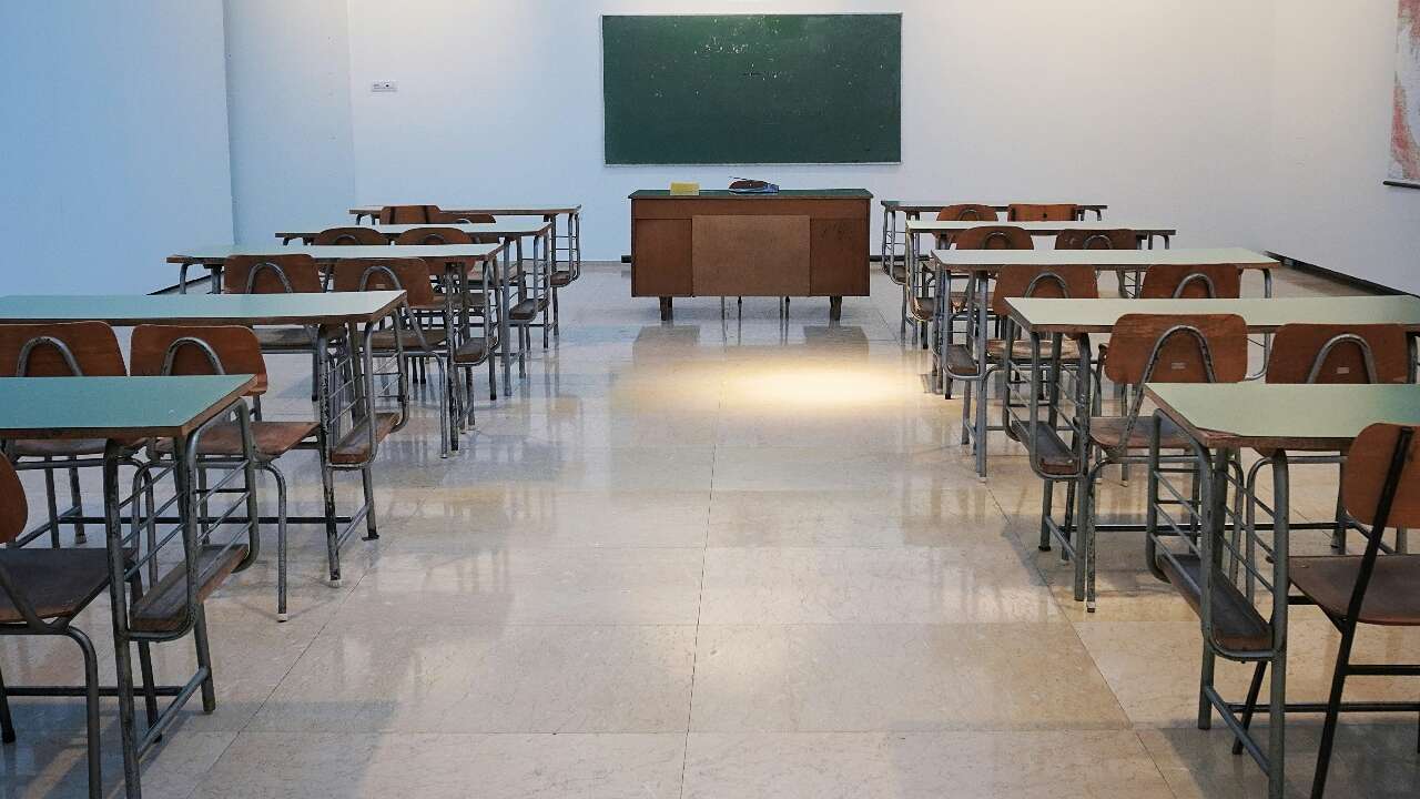 Ontario hit hardest as international student numbers plunge across Canada  