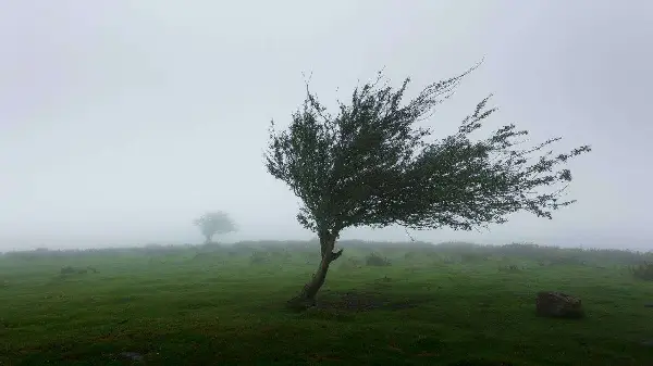 Strong winds expected across parts of Alberta