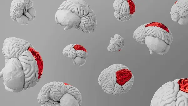 Feature: How constant complaining affects the brain | Wellness Wednesday