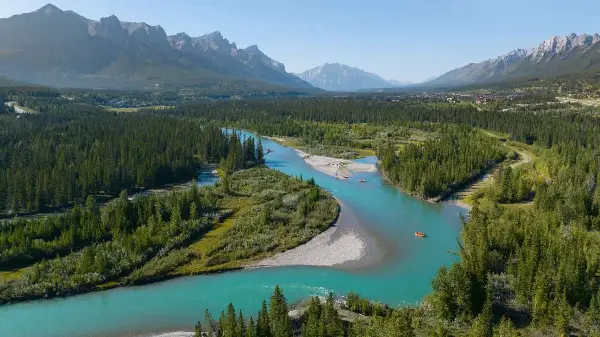 Study uses pig carcasses to understand river movement of human remains