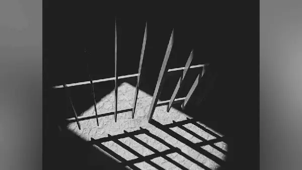  Toronto Man Sentenced to 33 Years in US Prison for Sextortion Scheme Targeting Over 145 Children