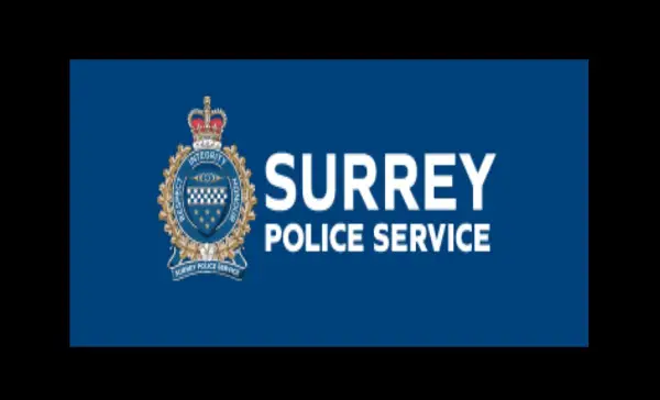 Two suspects identified in surrey carnival assault investigation involving child