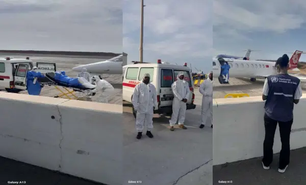5 active Andes Hantavirus cases linked to cruise ship as patients evacuated, risk remains low 