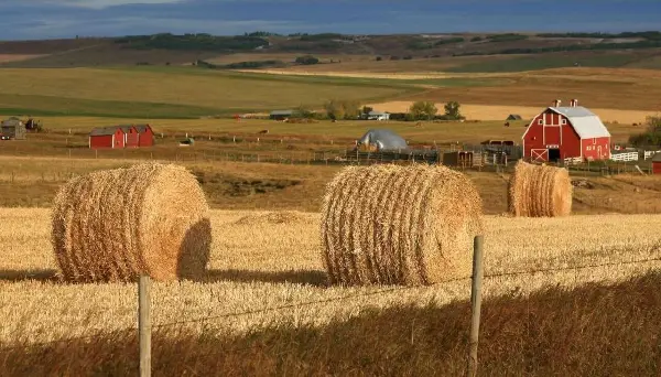 Rising fuel and fertilizer costs add pressure for Alberta farmers during spring seeding