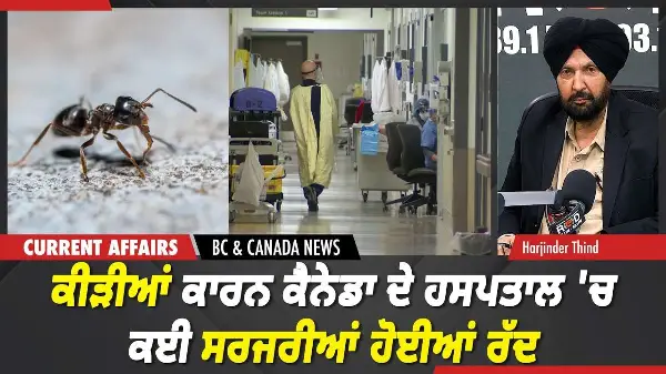 BC & Canada News | ਕੀੜੀਆਂ ਕਾਰਨ ਕੈਨੇਡਾ ਦੇ ਹਸਪਤਾਲ 'ਚ ਕਈ ਸਰਜਰੀਆਂ ਹੋਈਆਂ ਰੱਦ | May 7, 2026