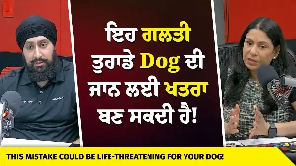 This Mistake Could Be Life-Threatening For Your Dog! | ਇਹ ਗਲਤੀ ਤੁਹਾਡੇ Dog ਦੀ ਜਾਨ ਲਈ ਖਤਰਾ ਬਣ ਸਕਦੀ ਹੈ!