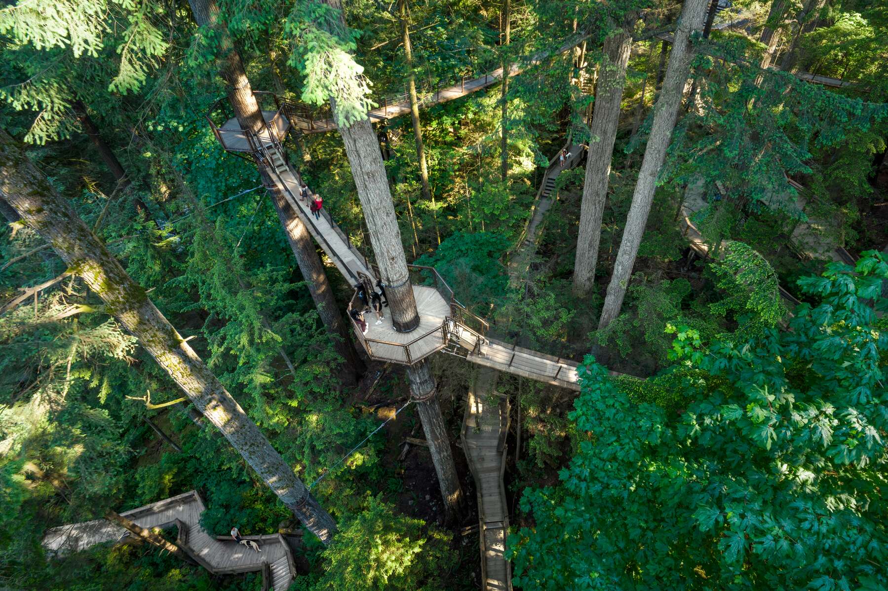 Capilano Suspension Bridge Park