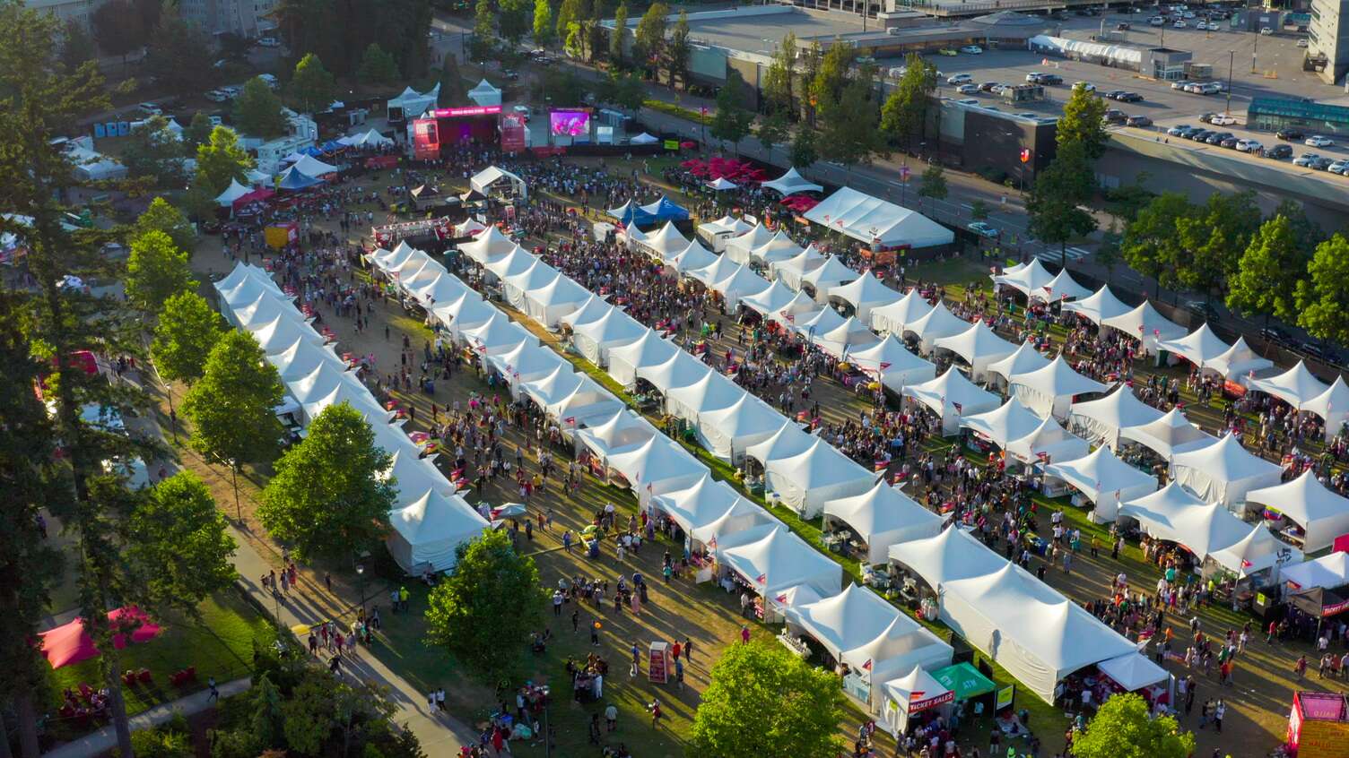 Surrey Fusion Festival