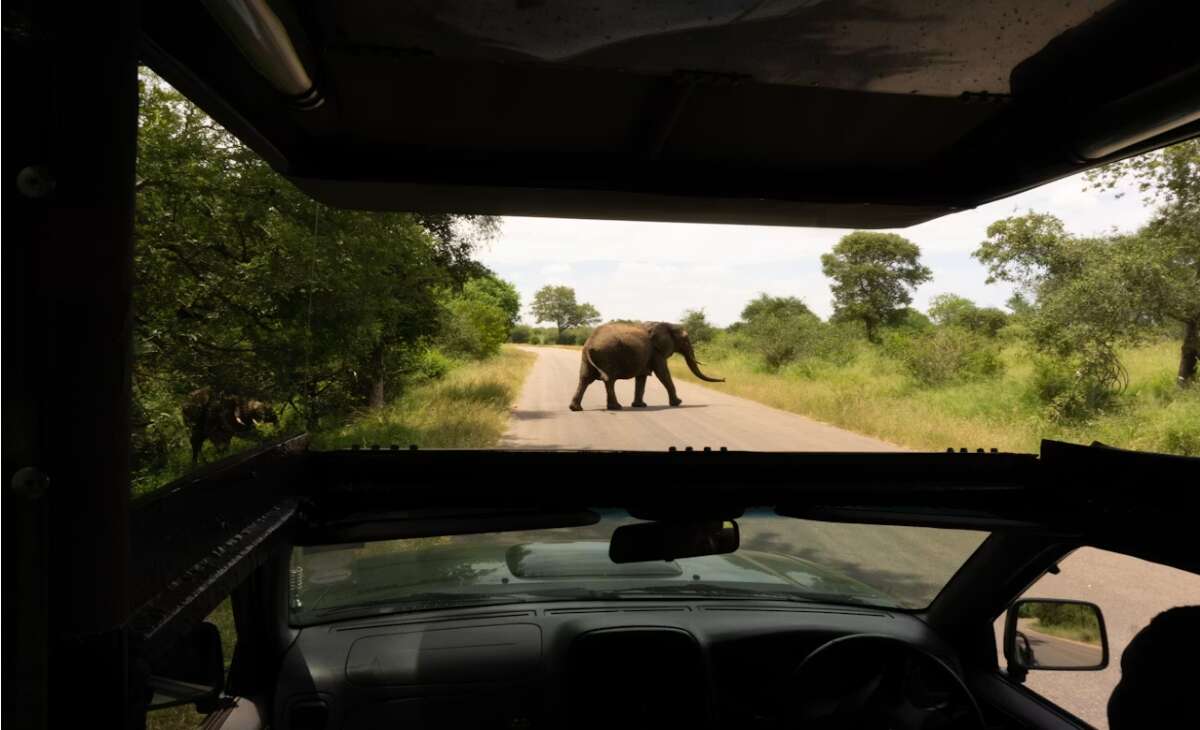 Canadian tourist killed in accidental shooting at South African wildlife park 