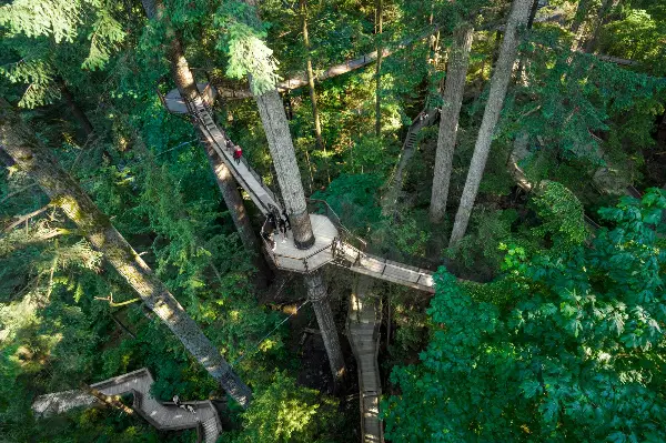 Capilano Suspension Bridge Park