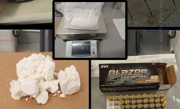Surrey trio faces 14 charges drug seizure probe linked to organized crime