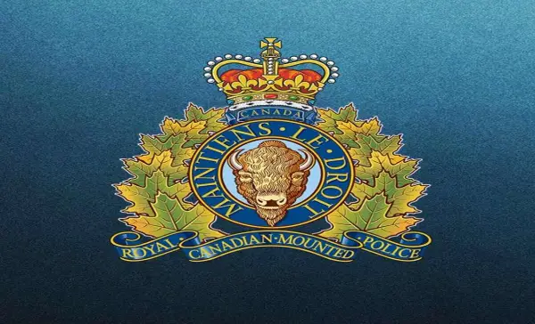 Two bodies found up isolated B.C. forest service road, police say deaths not believed criminal