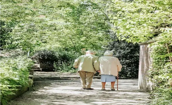  Reports of elder abuse continue to rise in B.C.