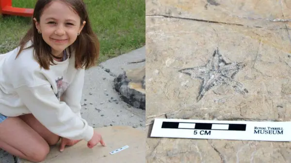 Young girl unearths Rare Fossil