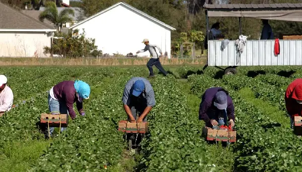 Federal government expands cabinet powers over pesticide approvals through bill C-30