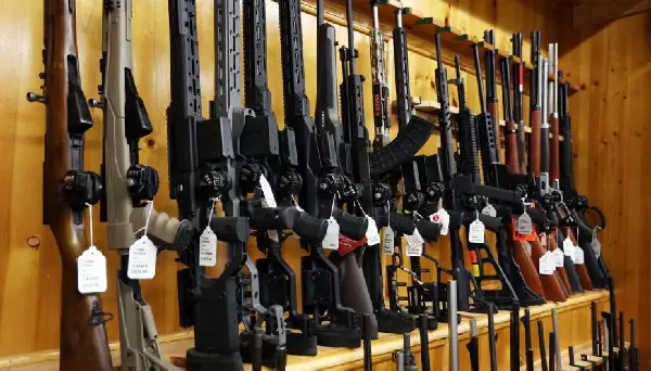 Gun control and women’s advocacy groups urge full implementation of firearms safety law