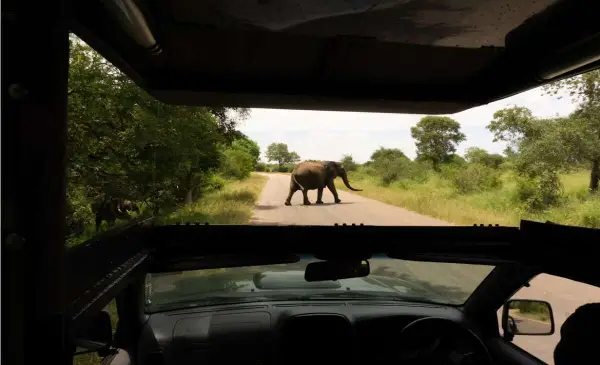 Canadian tourist killed in accidental shooting at South African wildlife park 
