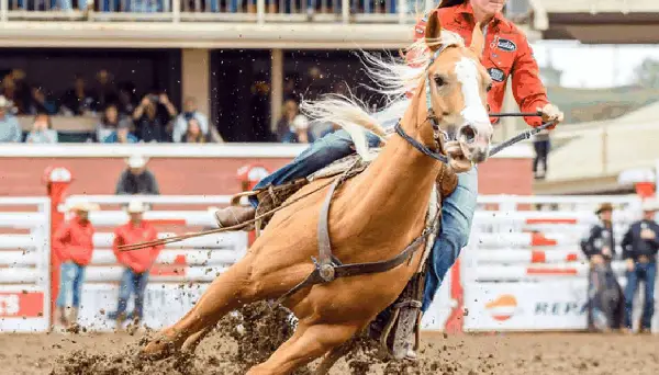 Calgary Stampede Rodeo set for 10 days of Elite competition in 2026