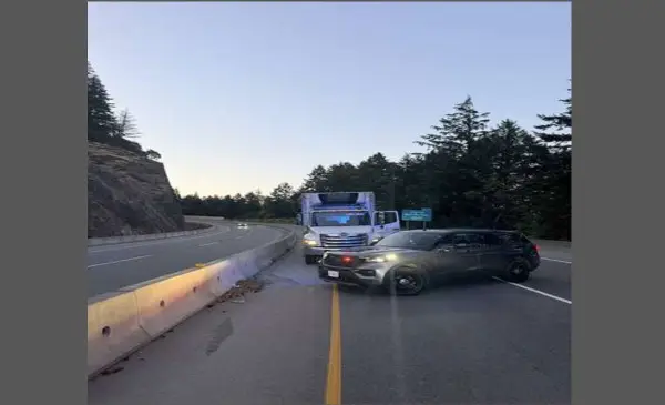 Truck driver arrested after travelling the wrong way on Highway 1 