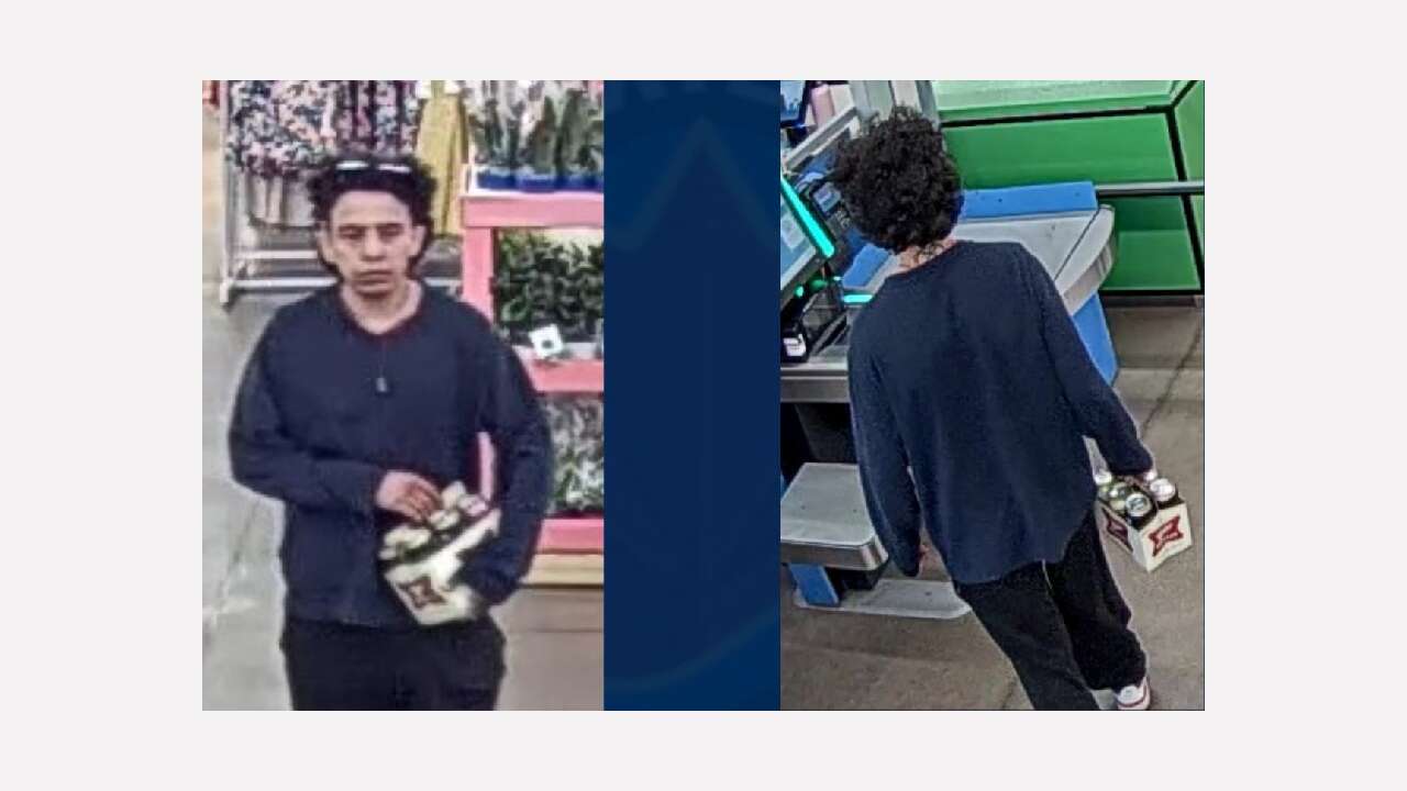 Hamilton Police seek suspect in suspicious Stoney Creek fire 