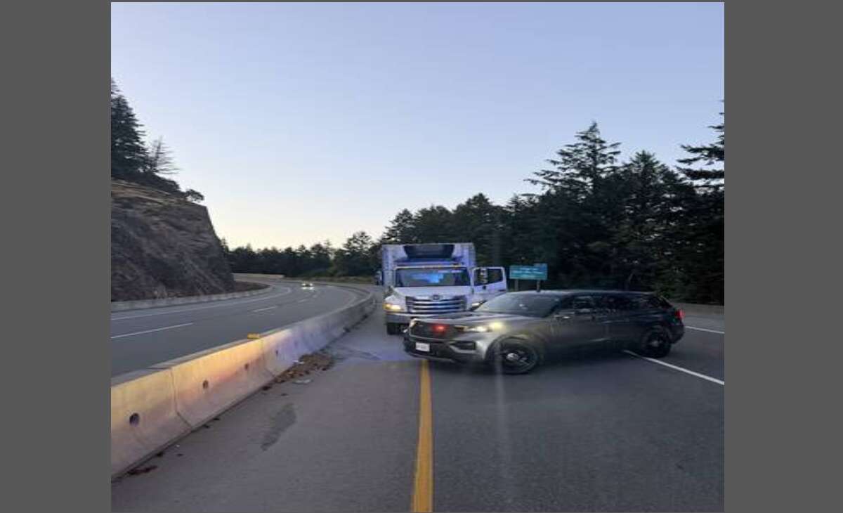 Truck driver arrested after travelling the wrong way on Highway 1 