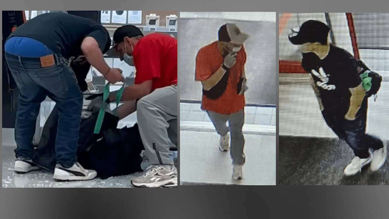 York Regional Police Seek Suspects After Richmond Hill Commercial Robbery