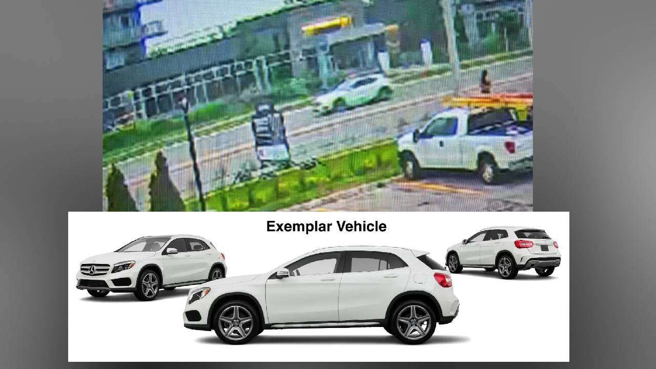 Police seek public's help after fatal hit-and-run in Mississauga