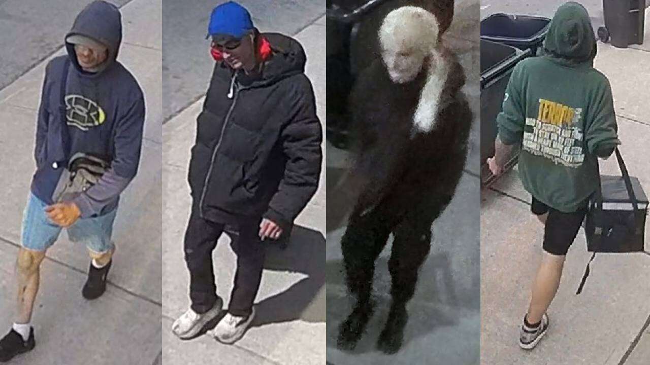 Toronto Police Seek Public's Help After $30,000 Worth of Items Stolen in Break-and-Enter