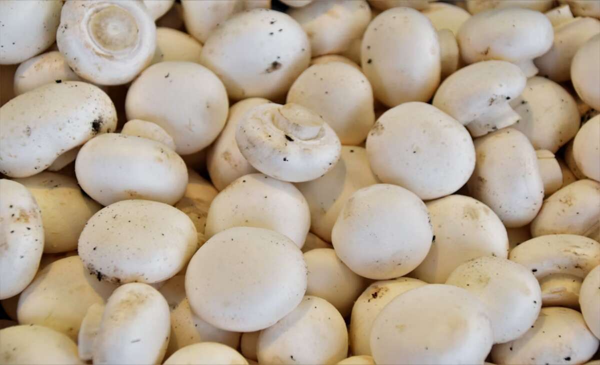  U.S. proposes new 8.26% tariff on most Canadian fresh mushrooms 
