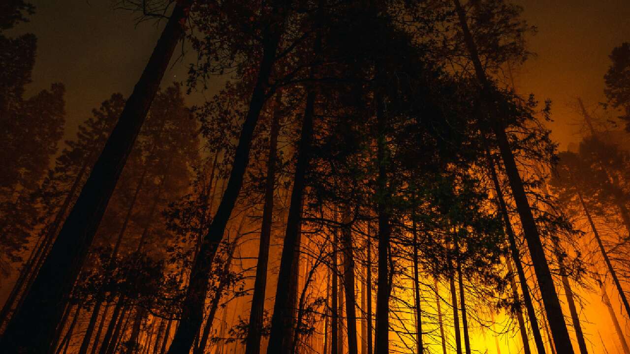 First Nation leaders call for public inquiry into Ontario wildfire response 