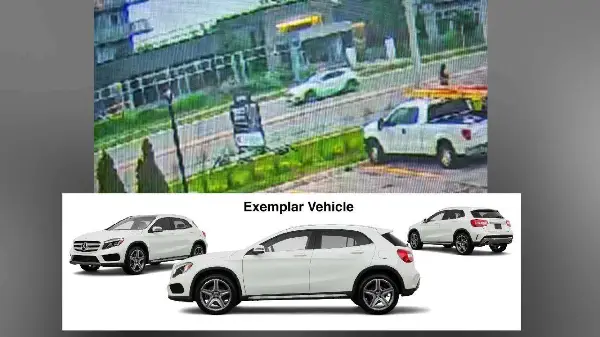 Police seek public's help after fatal hit-and-run in Mississauga