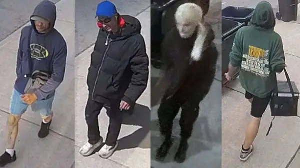 Toronto Police Seek Public's Help After $30,000 Worth of Items Stolen in Break-and-Enter