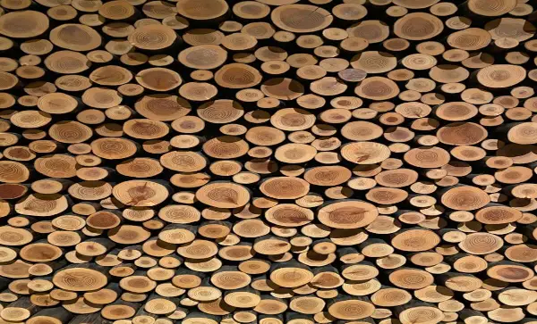  Ottawa provides $100 million loan to Millar Western Lumber Products amid tariff pressures 
