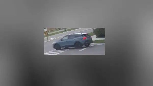 Elderly woman robbed in Mississauga distraction theft; Peel Police seek two suspects 