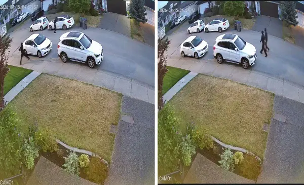 Surrey police seek suspects after nine vehicles vandalized in Newton 