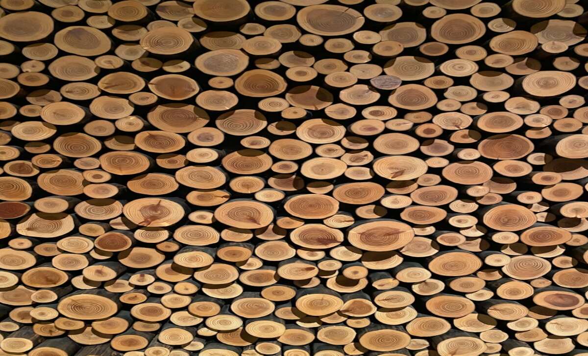  Ottawa provides $100 million loan to Millar Western Lumber Products amid tariff pressures 