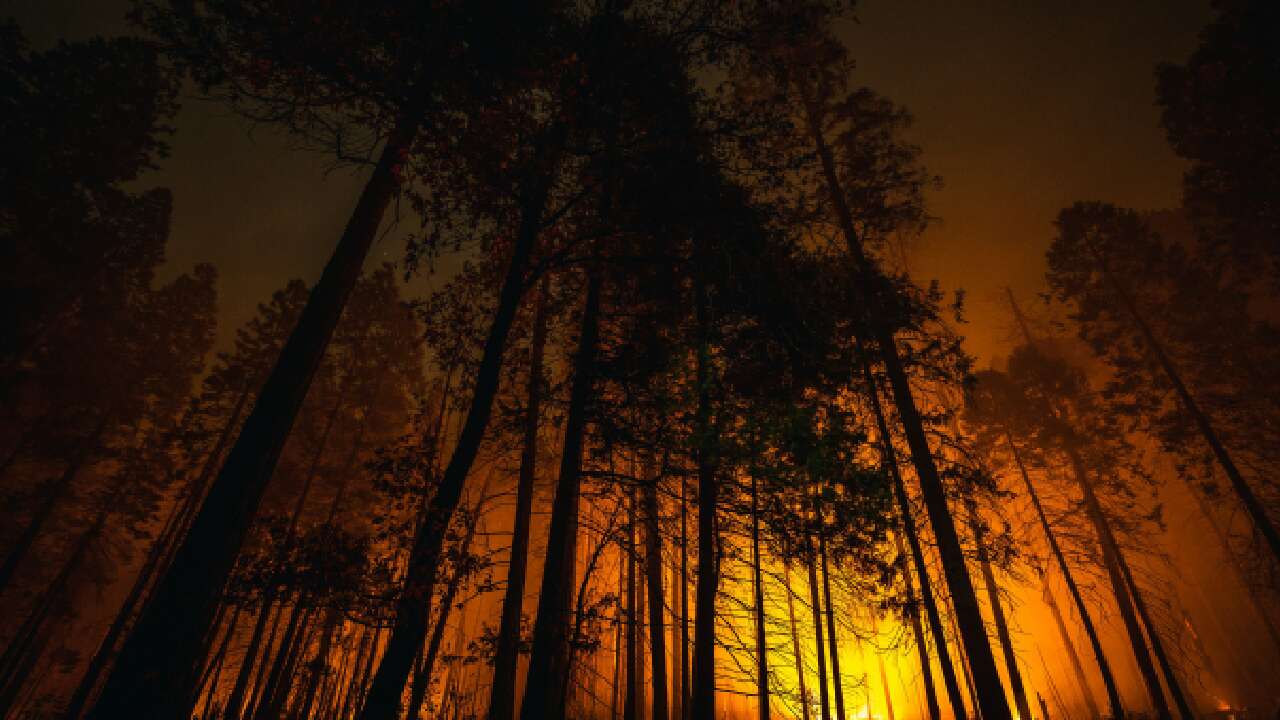 More than 80 wildfires extinguished in Ontario in past two weeks: minister   