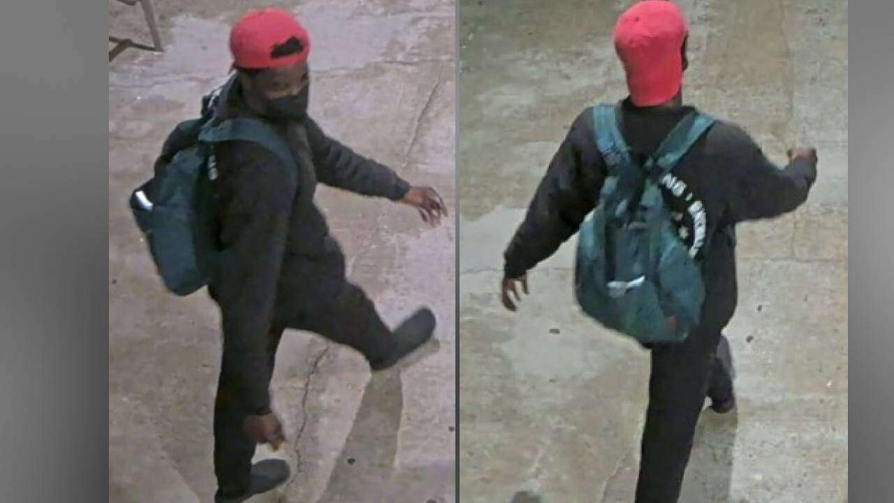 Toronto Police Seek Suspect in Mischief Investigation